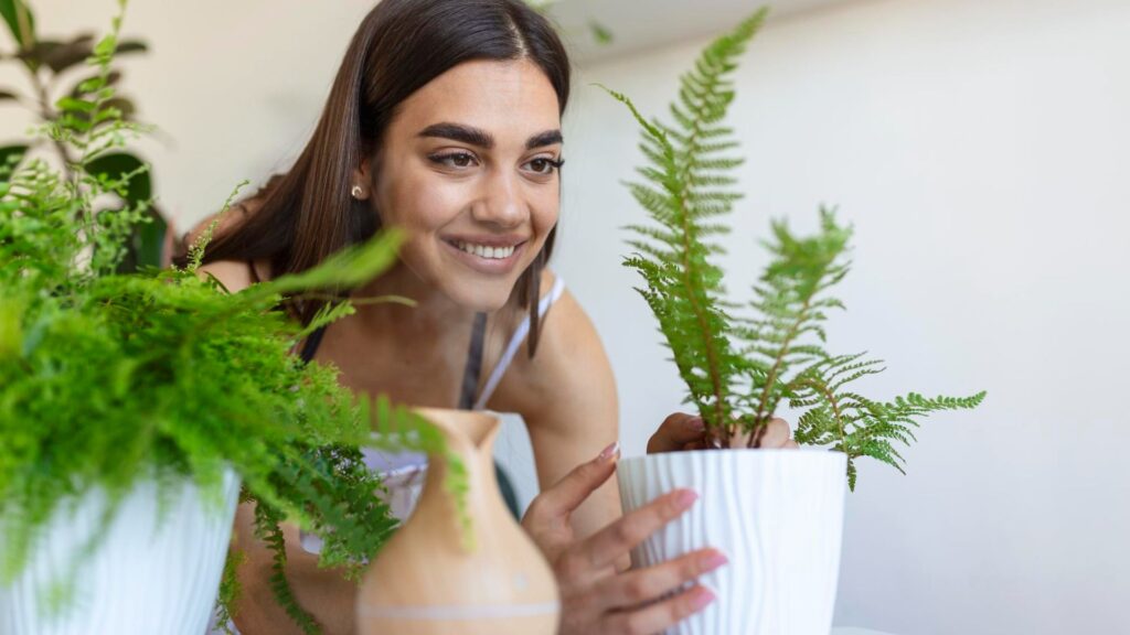 The Healing Power of Indoor Plants for Mind and Body Indoor Plants